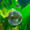 Bubble Up